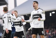 Fulham striker Aleksandar Mitrovic
