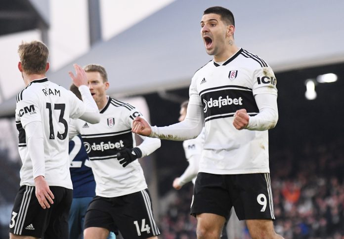 Fulham striker Aleksandar Mitrovic