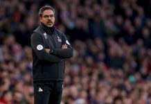 Norwich manager David Wagner