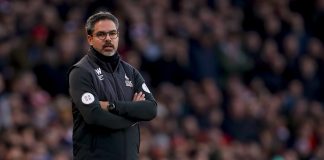Norwich manager David Wagner