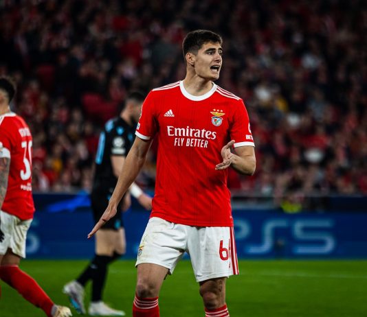 Benfica star Antonio Silva