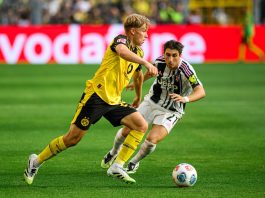 Exclusive: Everton join Premier League chase for Dortmund talent Sweden and Borussia Dortmund defender Daniel Svensson