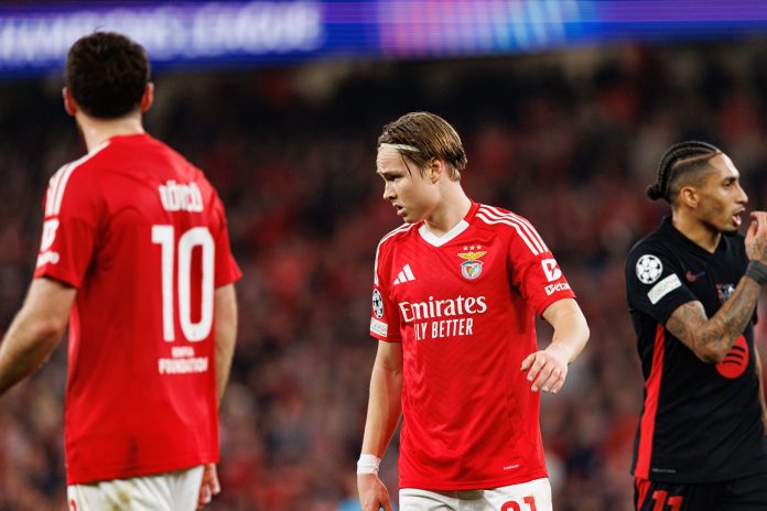 Benfica winger Andreas Schjelderup Benfica winger Andreas Schjelderup