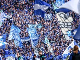 EXCLUSIVE: Schalke join Birmingham, Wrexham and Coventry in tracking Norwegian forward FC Schalke 04 fans