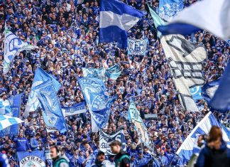 EXCLUSIVE: Schalke join Birmingham, Wrexham and Coventry in tracking Norwegian forward FC Schalke 04 fans