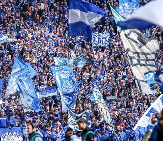 EXCLUSIVE: Schalke join Birmingham, Wrexham and Coventry in tracking Norwegian forward FC Schalke 04 fans